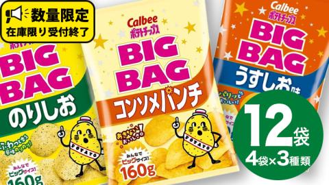 カルビー ポテトチップス BIGBAG 160g 3種 各4袋セット (計 12袋 ) うすしお のりしお コンソメパンチ ポテチ お菓子 おかし 大量 スナック