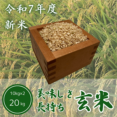令和7年度　ひたちなか市産コシヒカリ玄米20kg(10kg×2袋)
