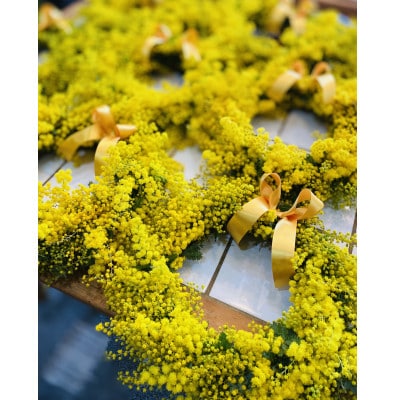 (3月発送)大きな木から作ったミモザのリース【限定品】おしゃれなお花をインテリア壁飾りプレゼントに!【配送不可地域：離島】