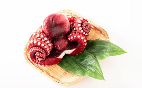 【冷蔵でお届け!】蒸し蛸 まるごと1尾(約1kg)おかずの一品やお酒のお供にもどうぞ!【配送不可地域：離島】