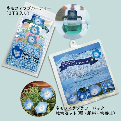 ひたちなか市ふるさと納税　ひたち海浜公園ネモフィラ雑貨セット