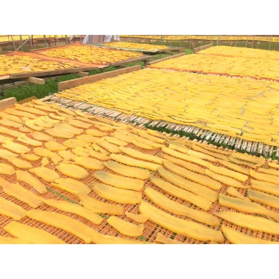 (潮騒の宿 丸徳)茨城県産熟成ほしいも『紅はるか2種セット』丸2・平2　計1.1kg【配送不可地域：離島】