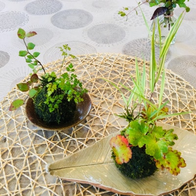 【先行受付・5月以降順次発送】季節の手作りコケ玉　インテリアやプレゼントにもピッタリ