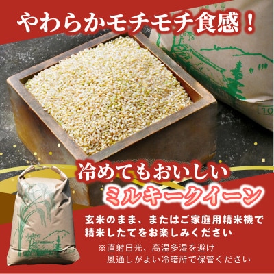 【先行予約・9月以降順次発送】令和7年　ひたちなか市産　ミルキークイーン(玄米)10kg×1袋