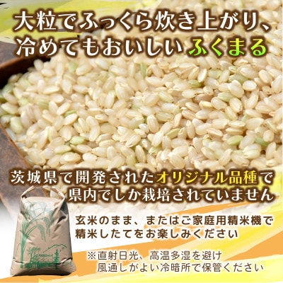 【先行予約・9月以降順次発送】令和7年産　特栽ふくまる(玄米)10kg×1袋　ひたちなか市産