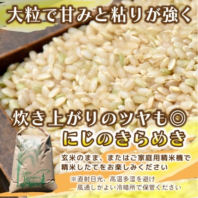 【先行予約・9月下旬以降発送】令和7年産　にじのきらめき(玄米)10kg×1袋　茨城県ひたちなか市産