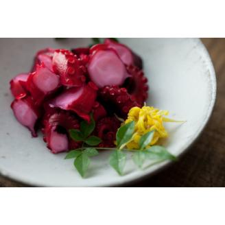 海の食堂 ひとくち酢たこ　70g×8パック【配送不可地域：離島】