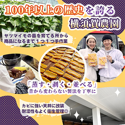 ほしいも品評会受賞 横須賀農園 干し芋(平干し)  400g×2