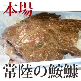 【3月発送】常陸名物　あんこう鍋セット(3～4人前)【配送不可地域：離島】