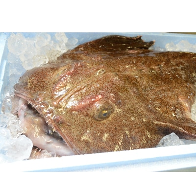 【先行予約2月発送】常陸名物　あんこう鍋セット(3～4人前)【配送不可地域：離島】