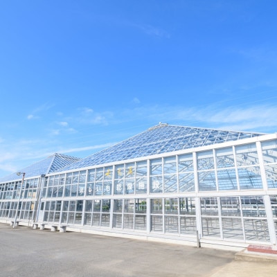 百年干しいも焼酎　720ml×1本