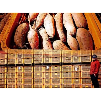 茨城県ひたちなか産 紅はるか 平干し・丸干し セット1 (平150gx5・丸250gx3)【配送不可地域：離島】