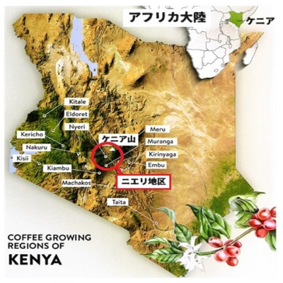 サザコーヒー カップオン ケニア 12g×50P(114071)