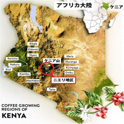 サザコーヒー カップオン ケニア12g×100P(114072)