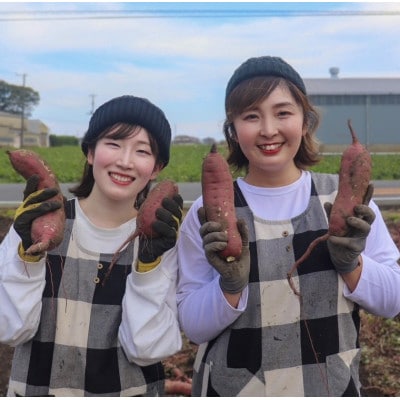 【先行受付/11月下旬～発送】(訳あり)茨城県産 熟成貯蔵 さつまいも 紅はるか 土付5kg(箱込)