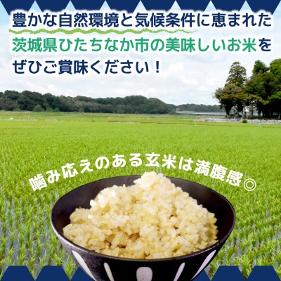 【先行予約・9月以降順次発送】令和7年ひたちなか市産　コシヒカリ(玄米)【10kg】