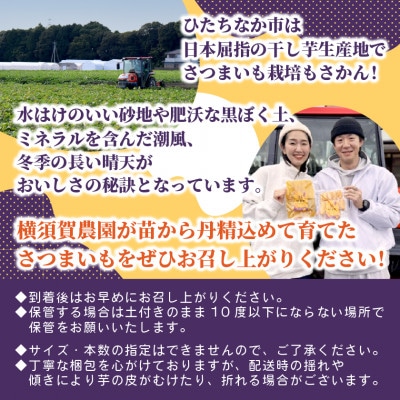 【訳あり】茨城県産 熟成さつまいも(生芋) 紅はるか 2Sサイズ 土付き3kg　家庭用 アレンジ◎