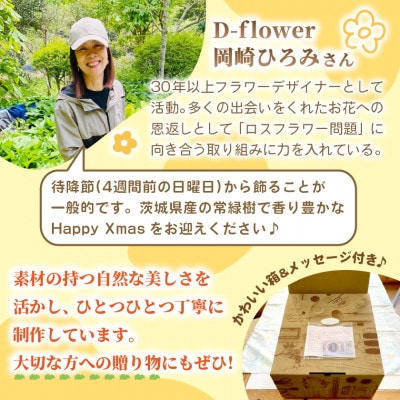 【2026年11月下旬以降発送開始】常緑樹の香りあふれるクリスマスリース(大きいサイズ)【配送不可地域：離島】