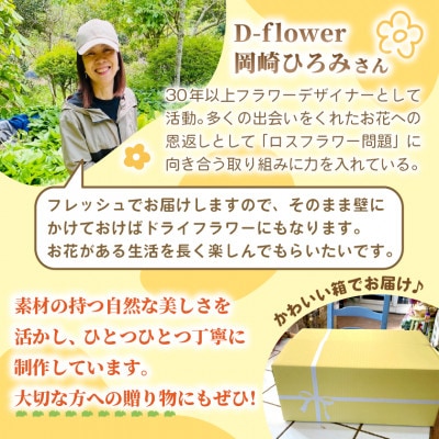 【2026年11月下旬以降発送開始・先行予約】コットンとユーカリのクリスマススワッグ(大きいサイズ)【配送不可地域：離島】