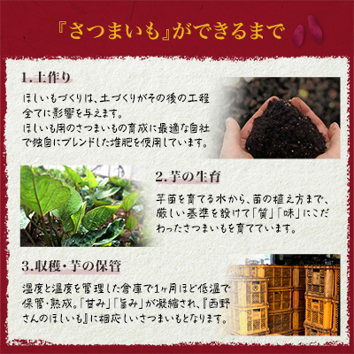 【先行受付・12月以降発送】(訳あり)西野さんのほしいも　紅はるか　切り落とし(200g×5袋)