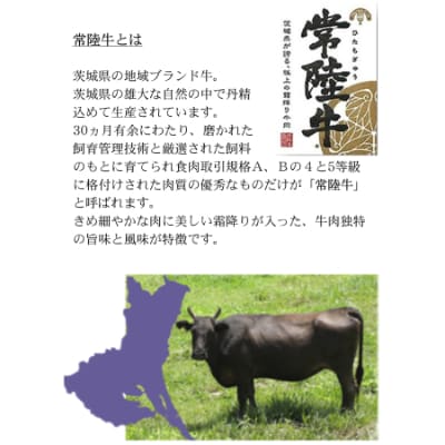 常陸牛「ハンバーグ150g×4個」＆「メンチカツ80g×4個」【配送不可地域：離島】