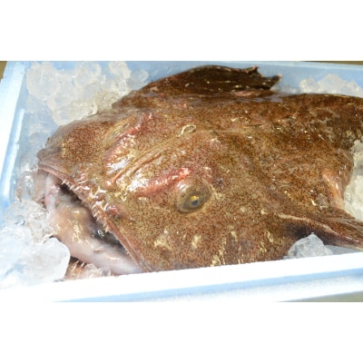 常陸名物あんこう鍋(3～4人前)と常陸牛ハンバーグ(4個)セット【配送不可地域：離島】