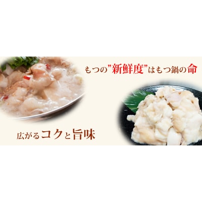 国産和牛もつ鍋セット(3～4人前)〆の極太ラーメン付【配送不可地域：離島】