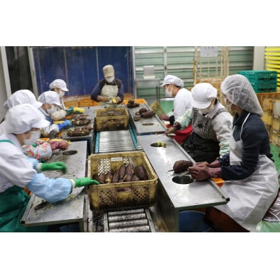 【先行受付/ひとくち食べ切りサイズ】西野さんのほしいも(約70g×4パック)