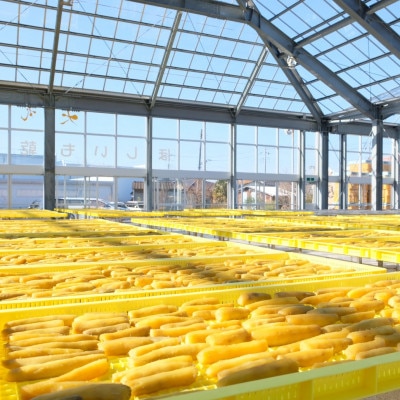 百年干しいも焼酎　720ml×1本