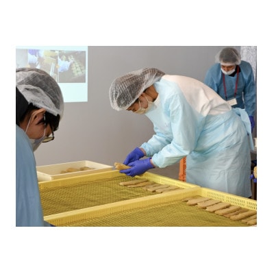 干しいも作り体験「Make Hoshiimo Yourself」4名様