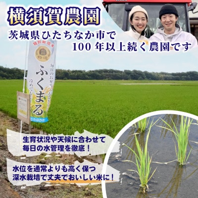 【先行予約・9月以降順次発送】令和7年　ひたちなか市産　特栽・特選ふくまる(玄米)10kg×1袋