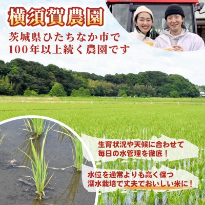 【先行予約・9月以降順次発送】令和7年　ひたちなか市産　ふくまる(玄米)10kg×1袋