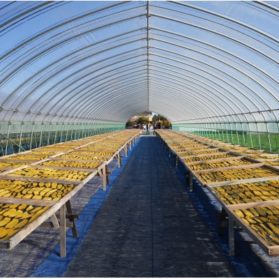 【新物】2月以降発送　ヒロファームの干しいも　平干し850g×1袋　べにはるか　茨城県ひたちなか産