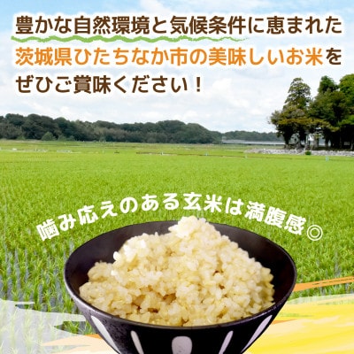 【先行予約・9月以降順次発送】令和7年産　特栽ふくまる(玄米)10kg×1袋　ひたちなか市産