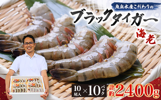 魚兵水産こだわりのブラックタイガー海老　 10尾10パック(計2400g程度)【配送不可地域：離島】