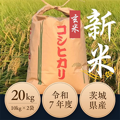 令和7年度　ひたちなか市産コシヒカリ玄米20kg(10kg×2袋)