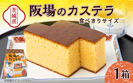 【職人が手焼き・地元で人気の阪場のカステラ】食べきりサイズ1箱
