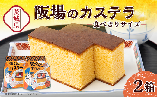 【職人が手焼き・地元で人気の阪場のカステラ】食べきりサイズ2個セット 〈夏季用〉【配送不可地域：離島】