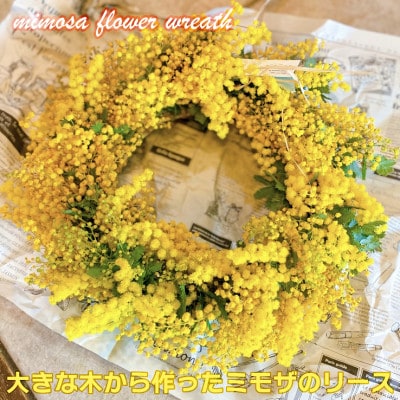 (3月発送)大きな木から作ったミモザのリース【限定品】おしゃれなお花をインテリア壁飾りプレゼントに!【配送不可地域：離島】