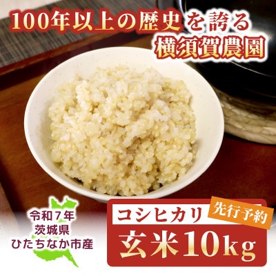 【先行予約・9月以降順次発送】令和7年　ひたちなか市産　コシヒカリ(玄米)10kg×1袋