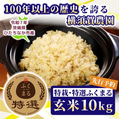 【先行予約・9月以降順次発送】令和7年　ひたちなか市産　特栽・特選ふくまる(玄米)10kg×1袋
