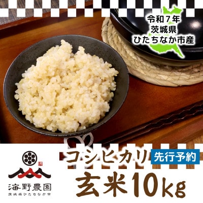 【先行予約・9月以降順次発送】新米　令和7年　ひたちなか市産　コシヒカリ(玄米)10kg×1袋