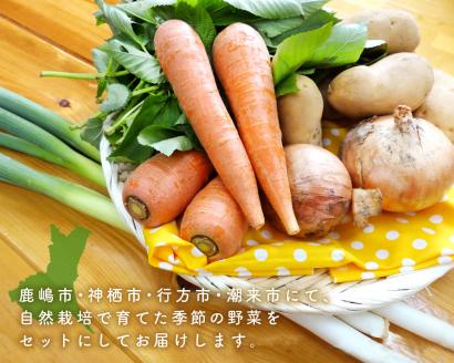 【共通返礼品】自然栽培野菜10～12品目(KBE-111)