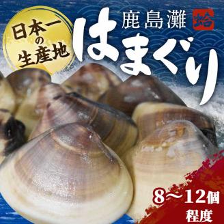 鹿島灘はまぐり【ハマグリ 蛤 海鮮 貝 魚貝 鹿嶋市 茨城県 20000円以内 2万円以内）（KM-2）