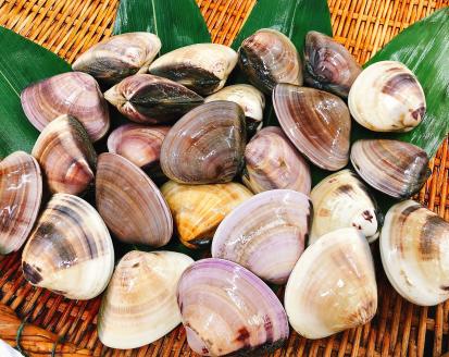 KBL-6　鹿島灘特産★ブランド地はまぐり（超特盛3kg） BBQ 　貝類　はまぐり 鹿嶋灘 鹿嶋市 茨城県 送料無料