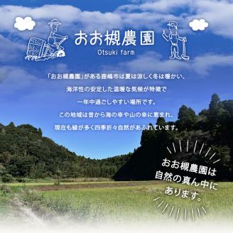 百笑オーガニック野菜セット（8～10品目）（KAG-1）