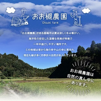 【12ヶ月定期便】百笑オーガニック野菜セット（8～10品目）（KAG-29）