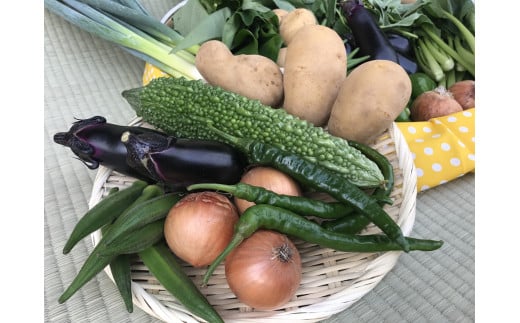 【10ヵ月定期便】【栽培期間中無農薬＆減農薬】季節の野菜ハーフセット（6～7品）【自然 健康 農薬 なし 減農薬 美味しい 安全 やさい 10回 鹿嶋市】（KBE-112）
