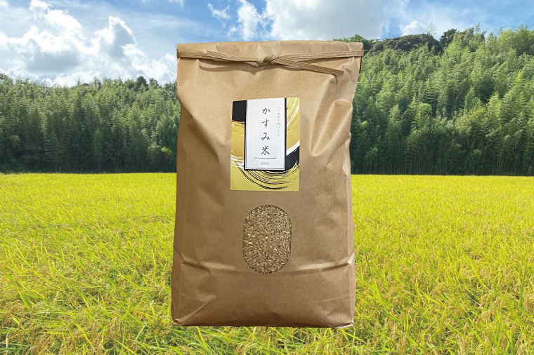 【茨城県共通返礼品・潮来市産】【先行予約】令和7年産新米　栽培期間出来るだけ農薬を減らして作る「かすみ米」（コシヒカリ）玄米5kg 【げんまい 減農薬 こしひかり おいしい おこめ 安心 安全 健康】（KBE-108）