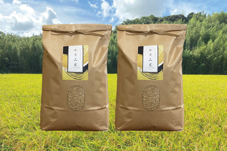 【茨城県共通返礼品・潮来市産】【先行予約】令和7年産新米　栽培期間出来るだけ農薬を減らして作る「かすみ米」（コシヒカリ）玄米10kg 【げんまい 減農薬 こしひかり おいしい おこめ 安心 安全 健康】（KBE-110）